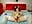 masturbating vib and cum - vidéo du modèle de showcams LittleShyy