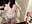 play nipples - vidéo du modèle de showcams LittleShyy
