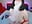 strip and domi inside - vidéo du modèle de showcams LittleShyy