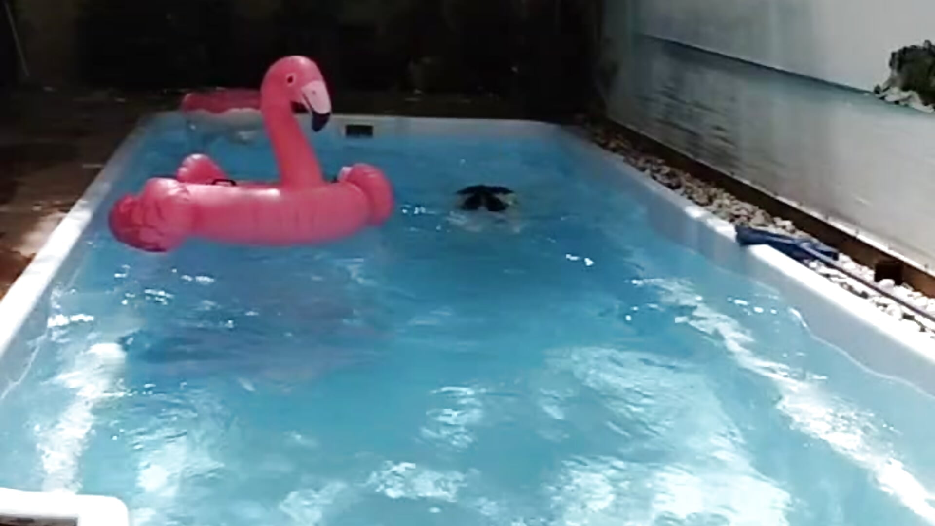 I get out of the pool and undress – video od webkamerové modelky LittleShyy