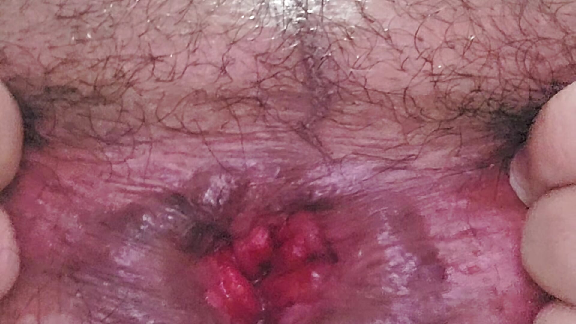 1000754190 - video by Versatilgus cam model