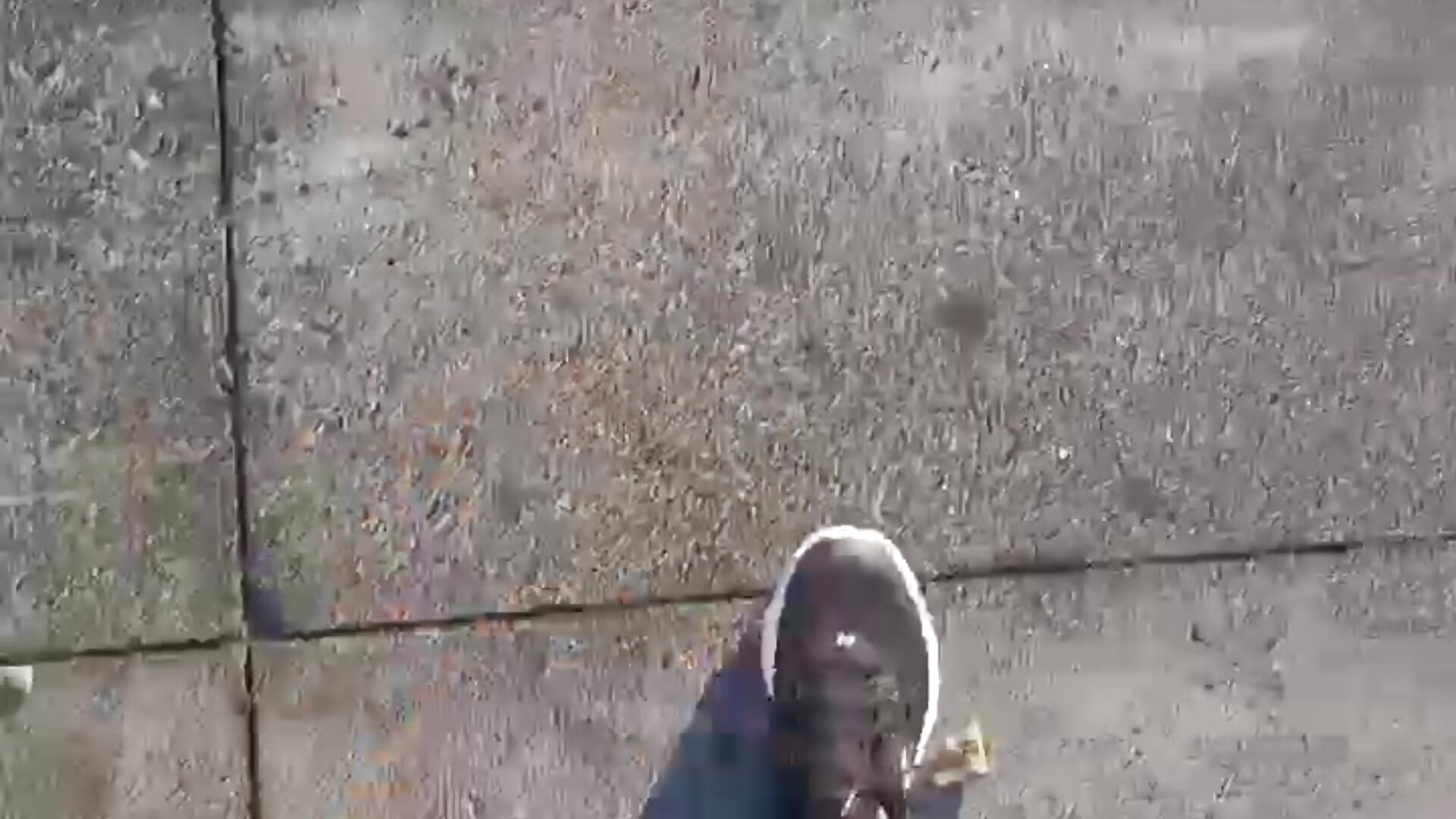 Corriendo detrás del activo 😂 - video by Versatilgus cam model