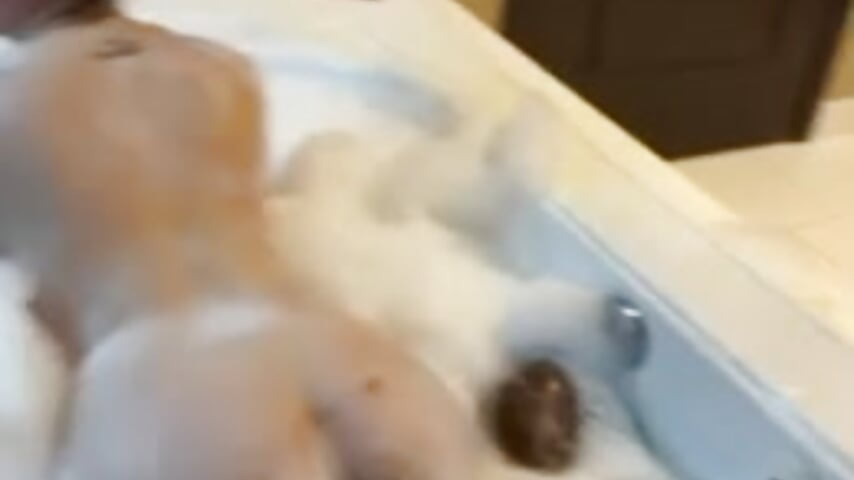 Booty in Bubbles - video by boomboomr00m cam model