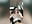 Road Head - video by boomboomr00m cam model