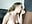 BJ in Glasses - video by boomboomr00m cam model