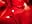 christmas gif - video by beautifulle cam model
