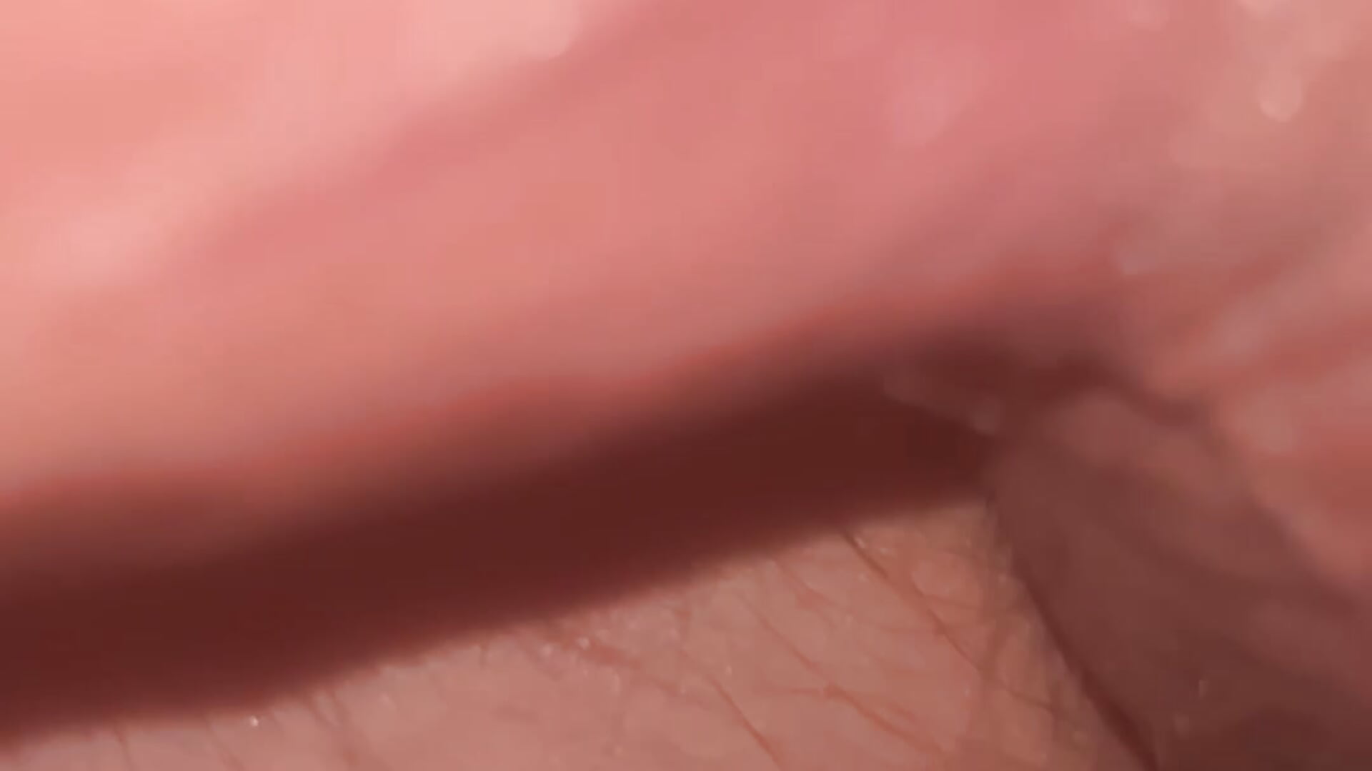 mty hard cock