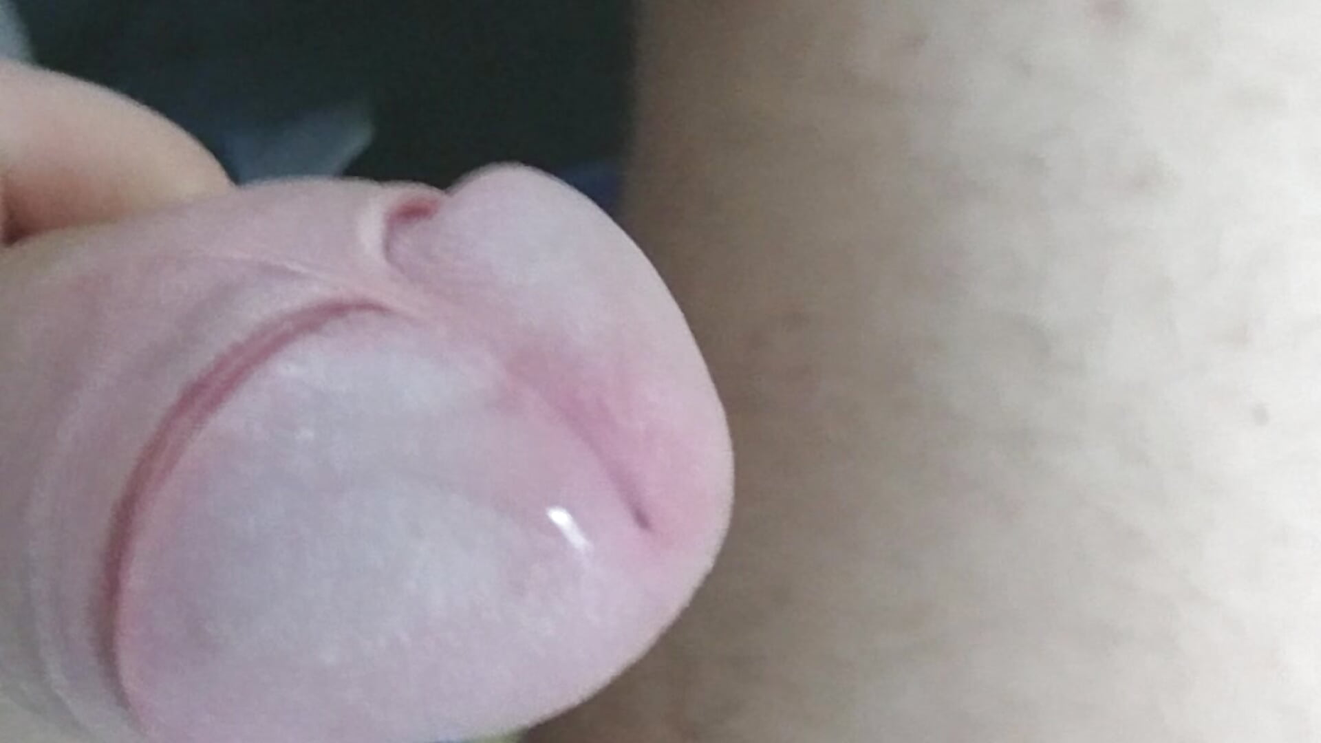 vorsammen - Video von golla Cam-Model