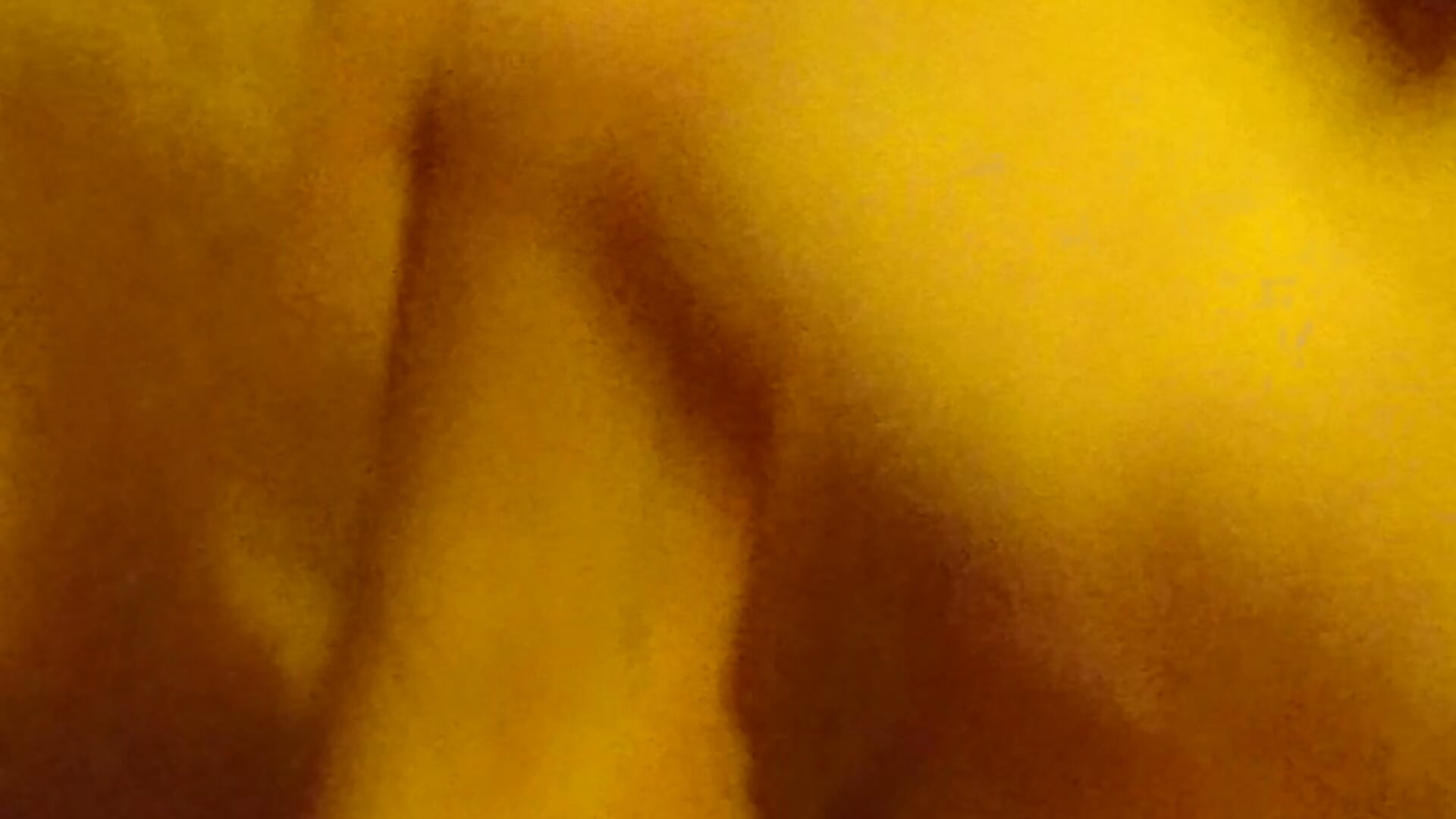 Haustür vollgewixxt - Video von golla Cam-Model