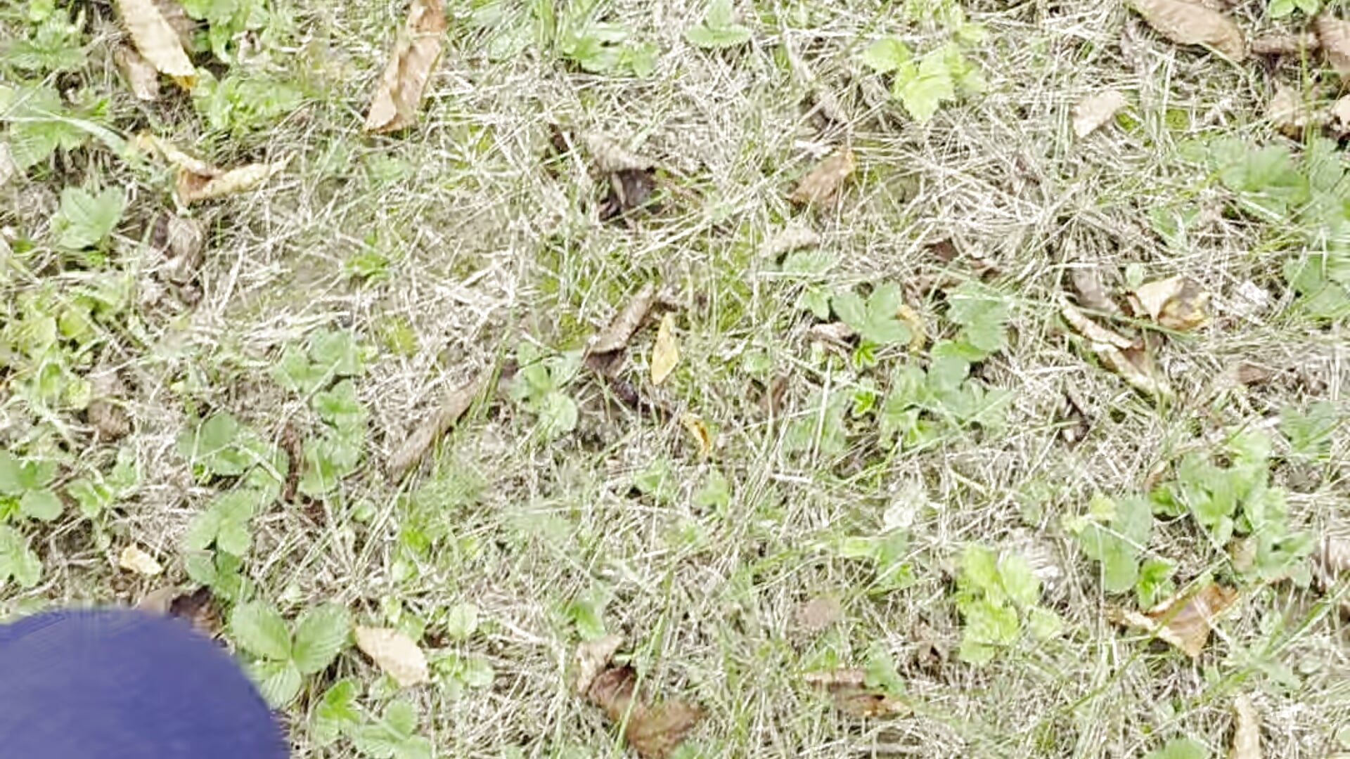 1000006847🧦📚🪸🥾🥾🐛🪾☘️YEAr2o25🌿🍁🐞🍂🍃🍀🐛🪴🐛🌱🐞 - video của người mẫu cam hotSANDRA_STARR