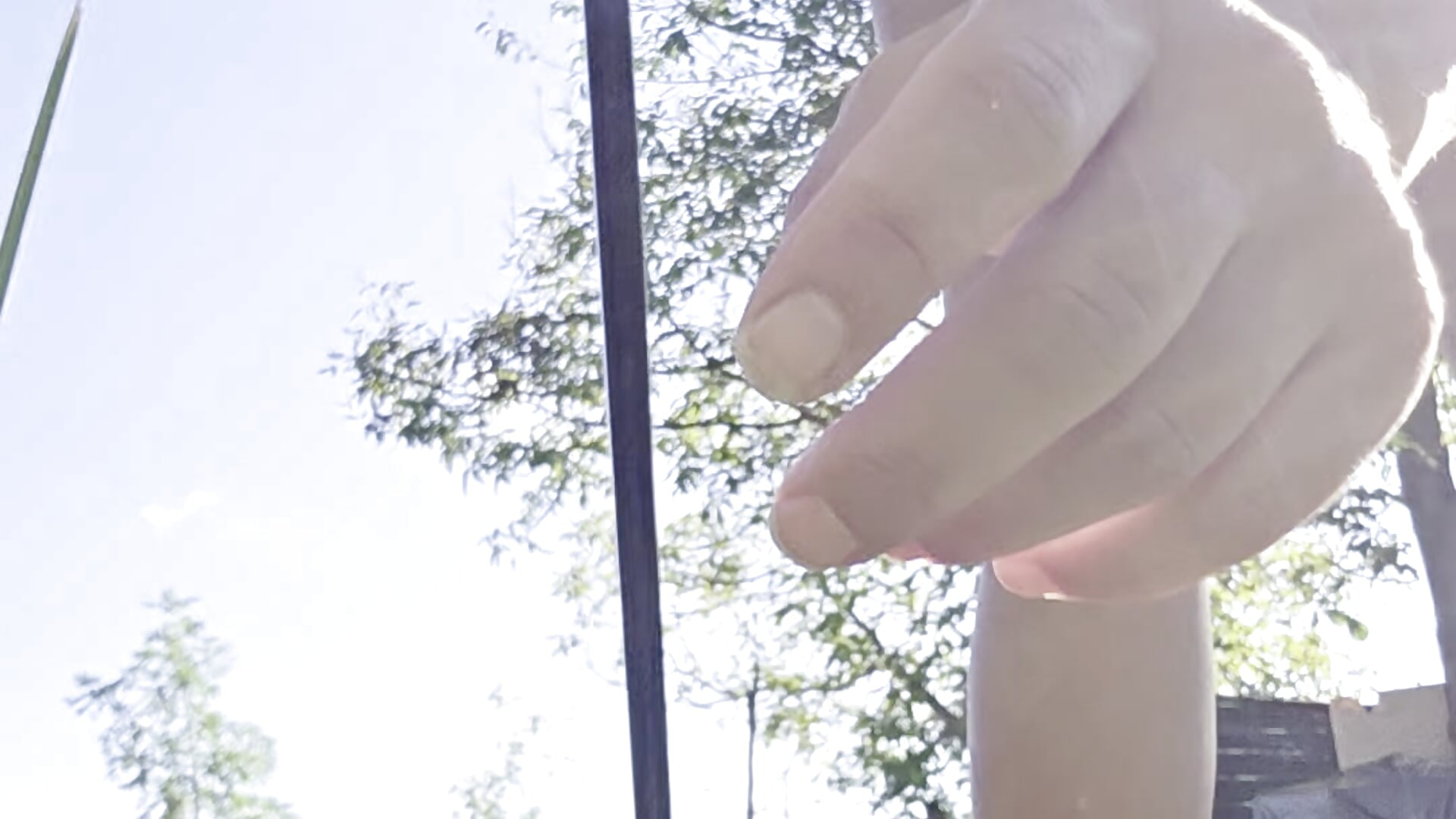 1000006809year 2025 - video của người mẫu cam hotSANDRA_STARR