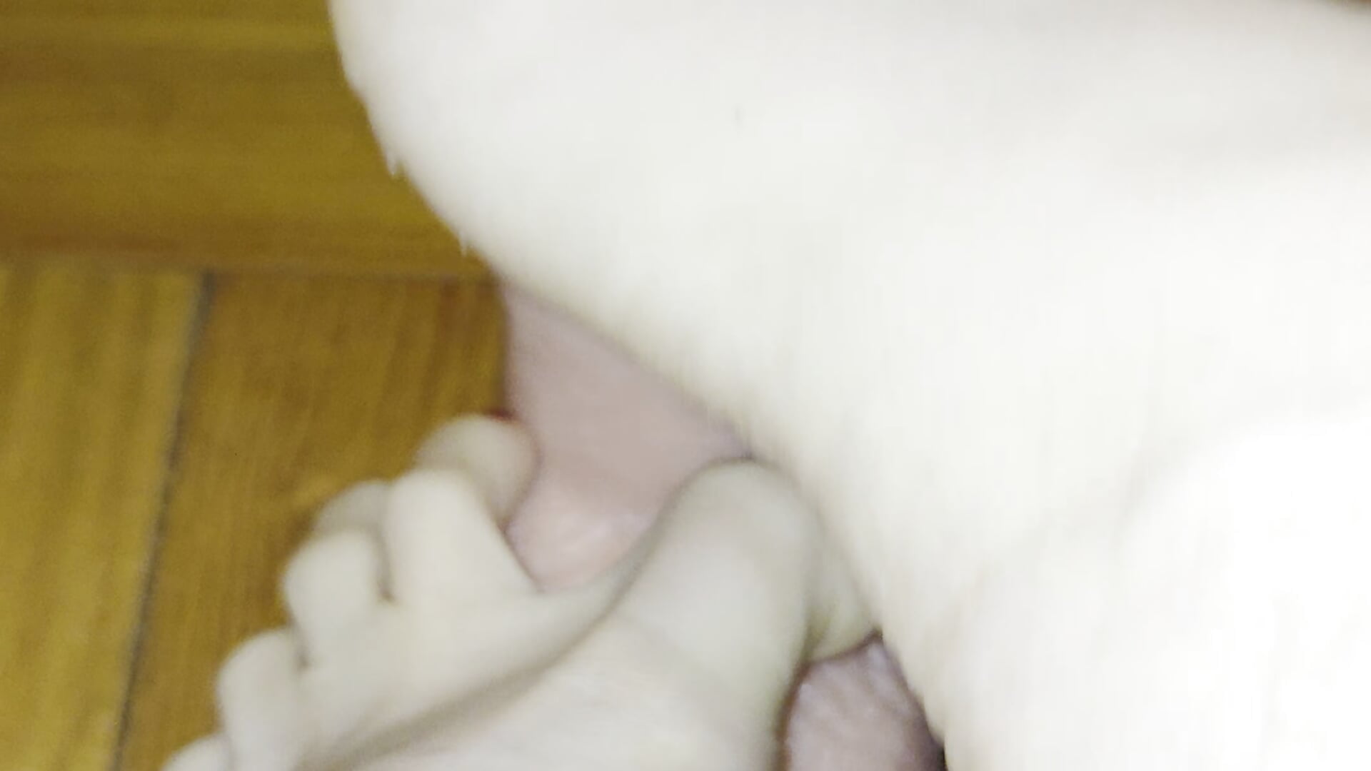 Vastag fasz alakú dildót izgatok lábujjaimmal 🤭☺️ - video by Analimado18 cam model