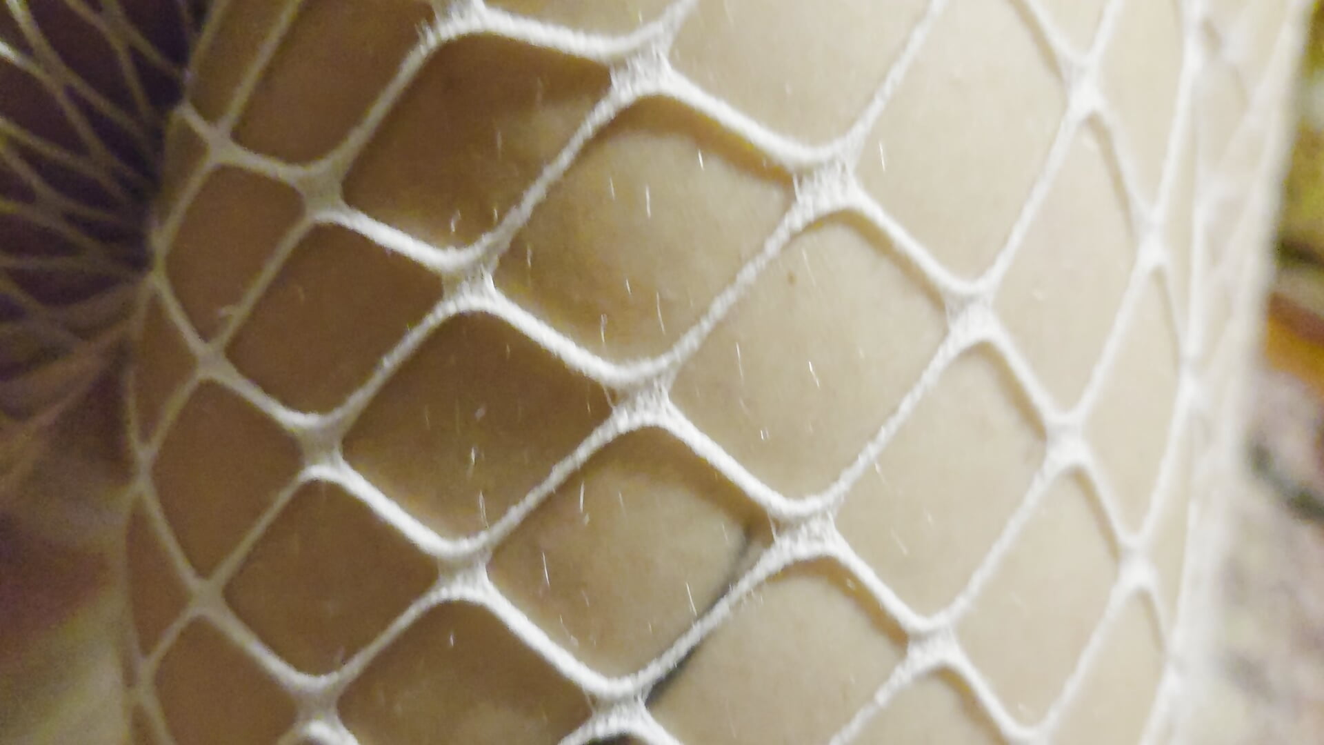 Imádom a sexy combfixeket😌 - video by Analimado18 cam model