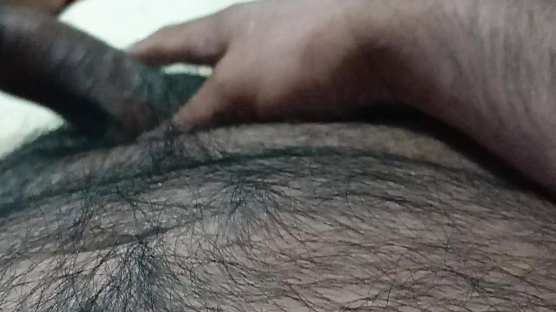 Hairy bear cock 🐻🍆 - βίντεο μοντέλου PhillDrake11