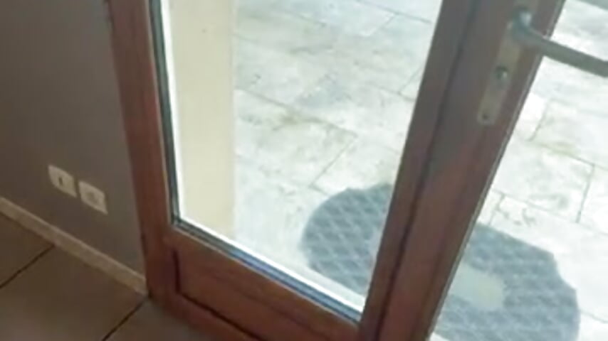 79620182185__FA0EF3B8-199D-4CFF-A5DD-9C0686B2AA55 - video oleh Loul41 kamera model