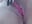 Lush out - video by DesereaRose cam model