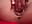 Exotic Pleasure - video by DesereaRose cam model