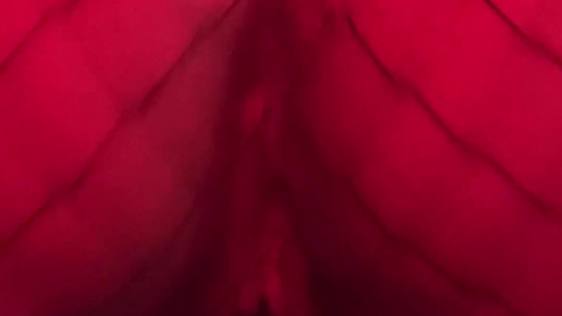 Juicy Twerking - video by DesereaRose cam model