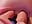 DP FOR DAYS - video by DesereaRose cam model