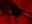 Red like finger fuck - video by DesereaRose cam model