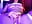 Squirt At You - video by DesereaRose cam model