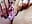 Pull that pussy apart! - video by DesereaRose cam model