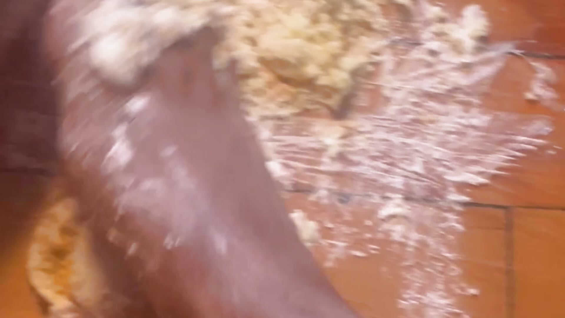 footie cake smash - video by moonsoda cam model