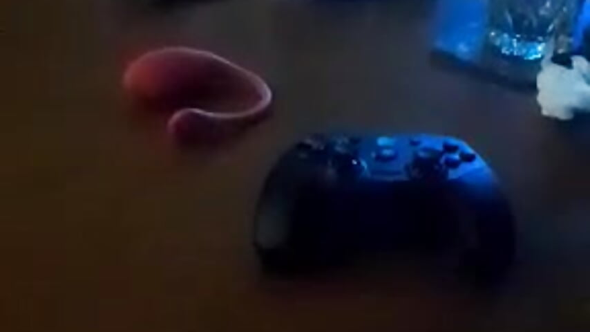 I am ready for game <3 - video by andrianna69 cam model