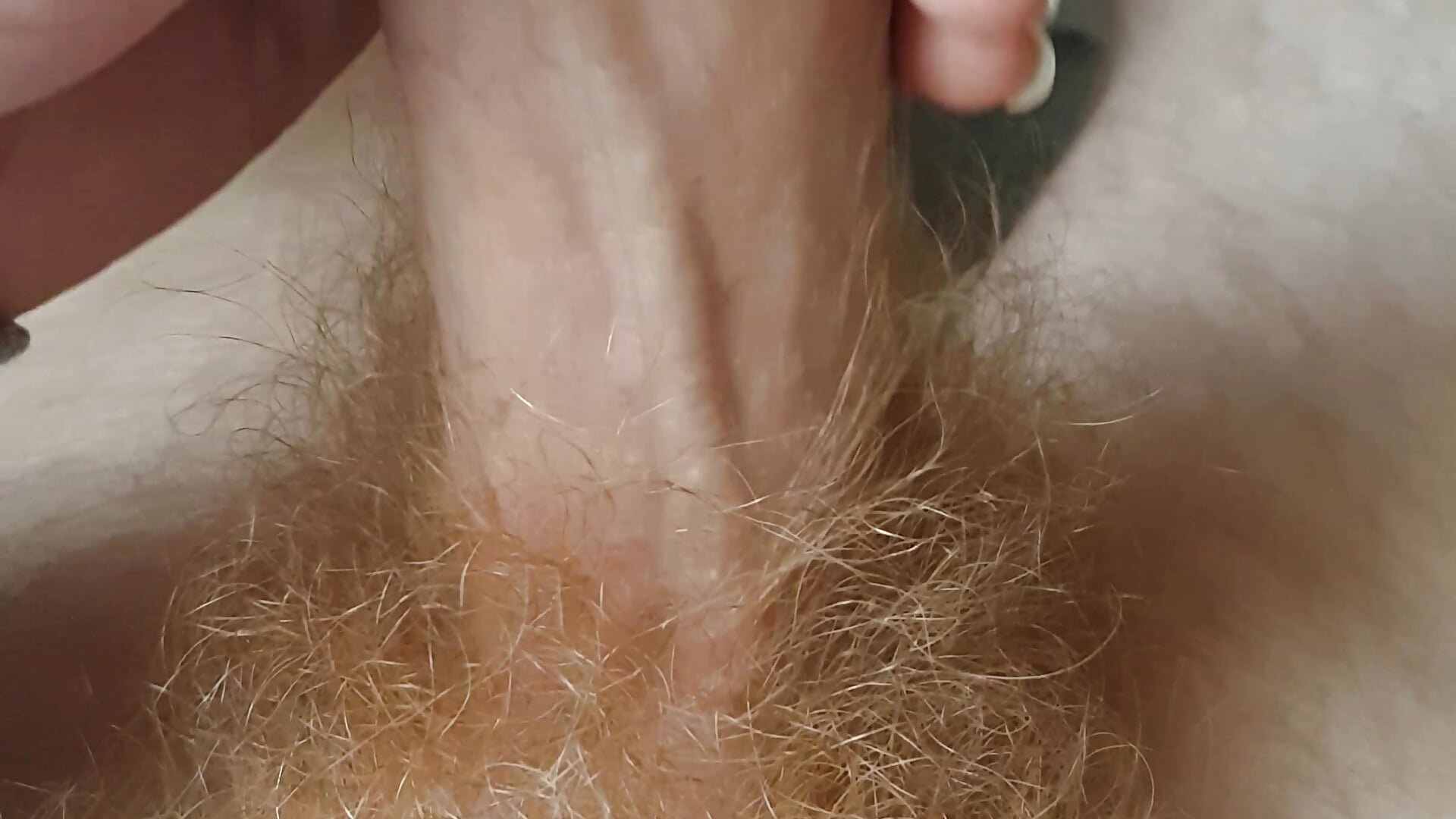 Blond behaart - video by DerWeisser cam model