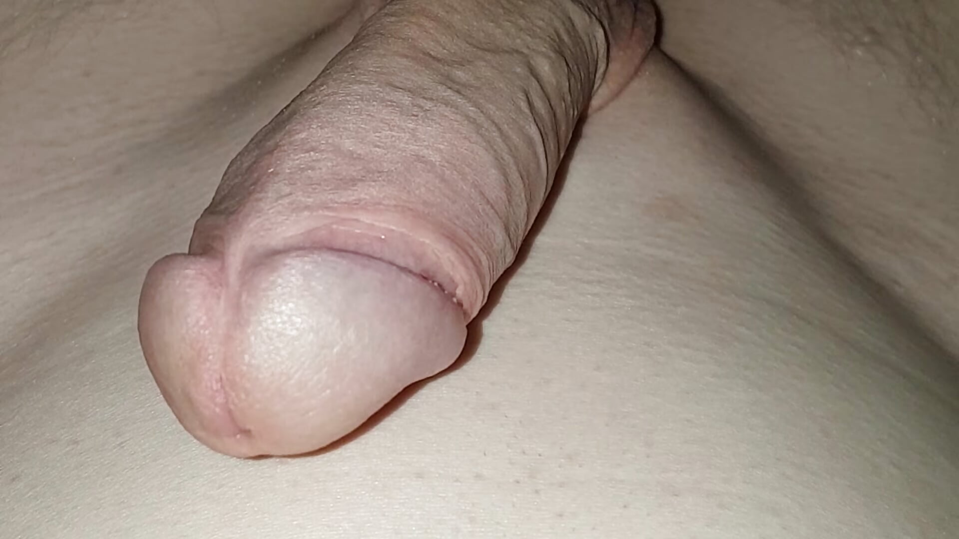 ShavedBoy - video by DerWeisser cam model