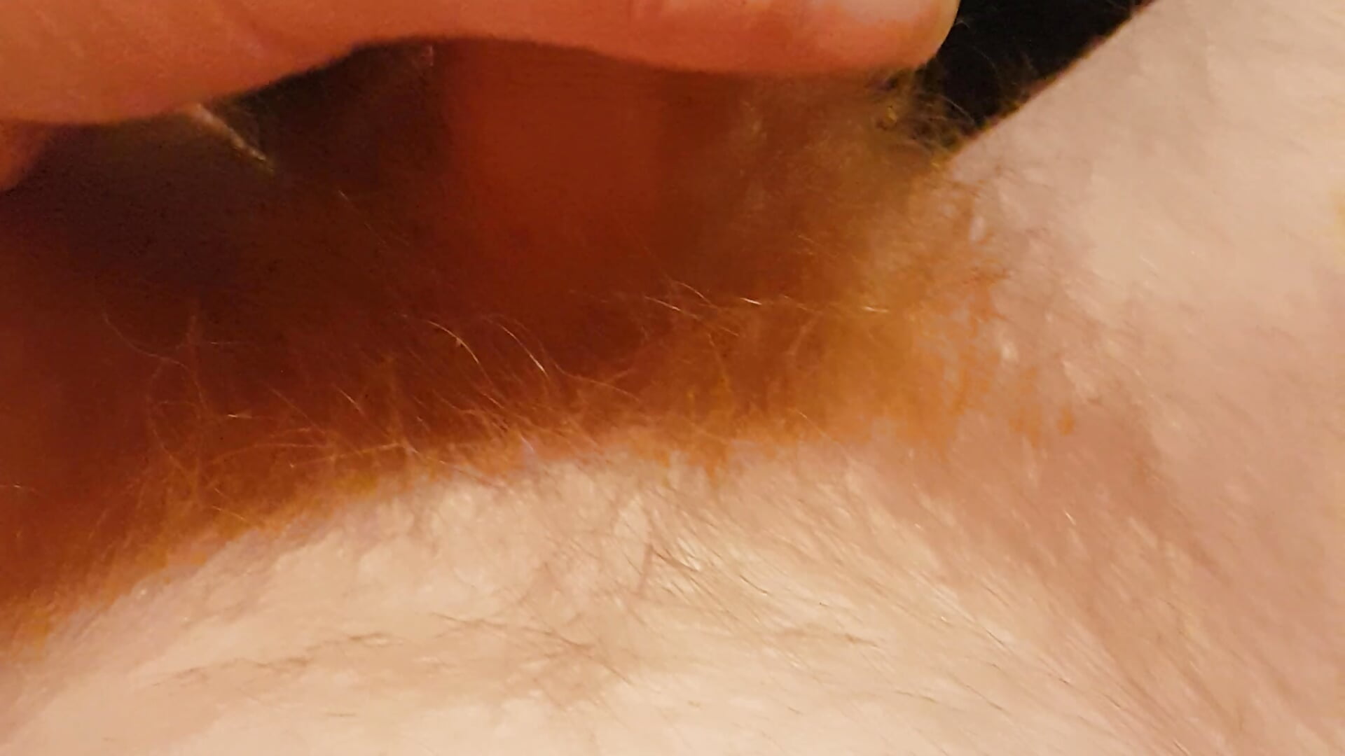 Behaart Blonde 2 - video by DerWeisser cam model