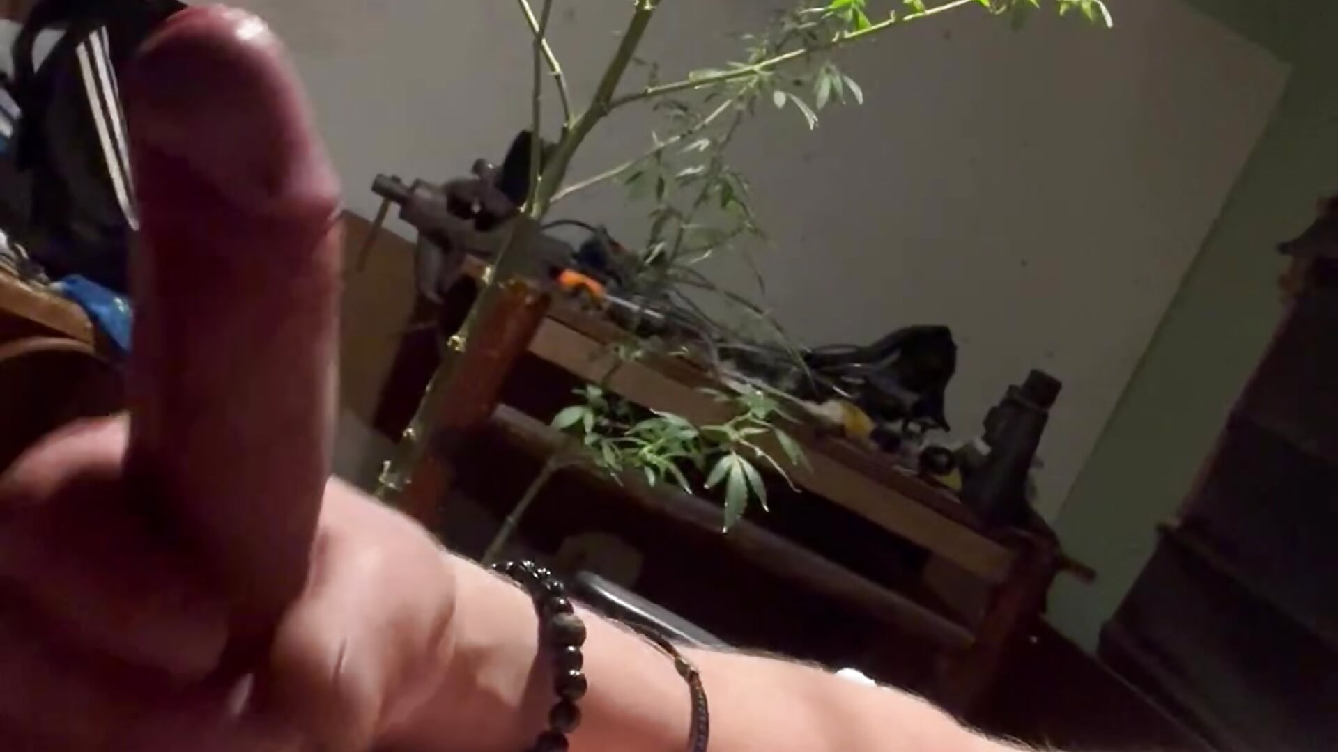 Parcheto - video by Georgi51906788 cam model