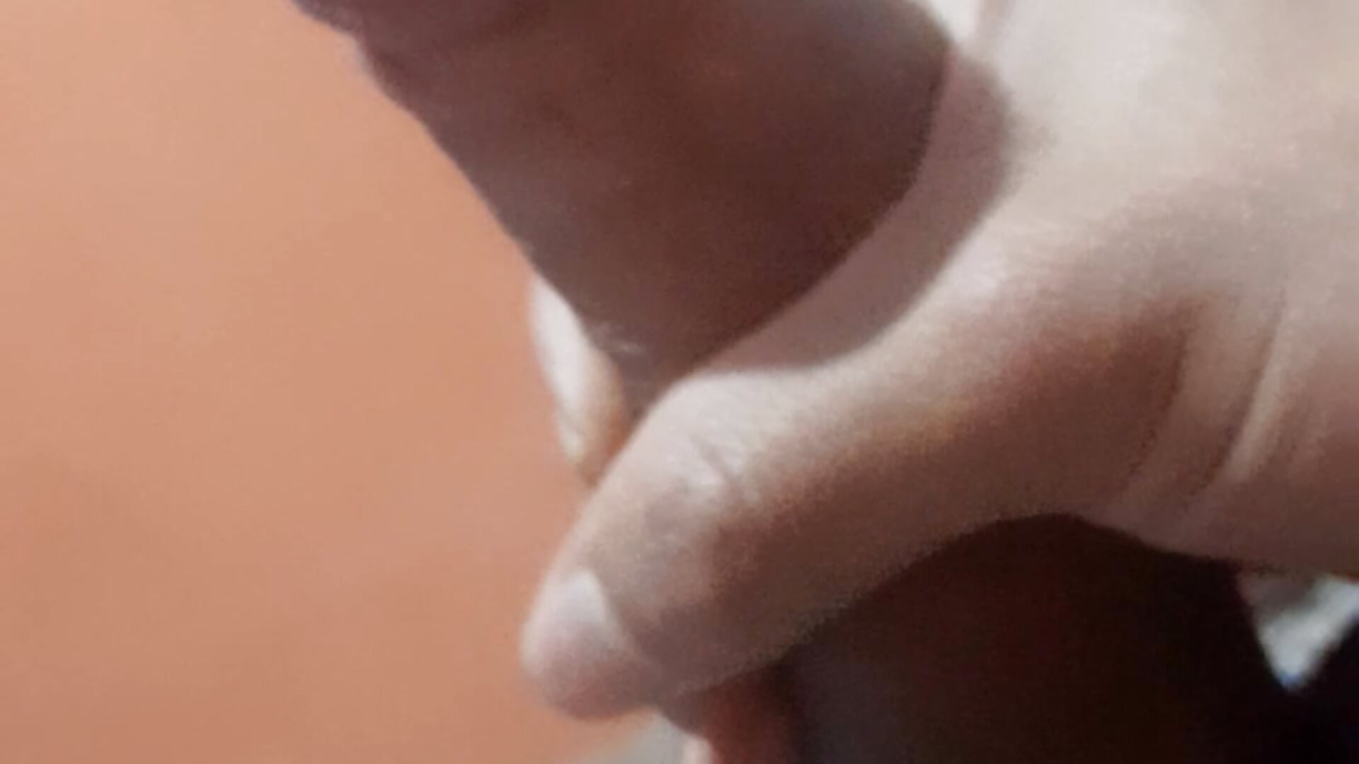 🥵 – видео вебкам-модели ElCurioso20