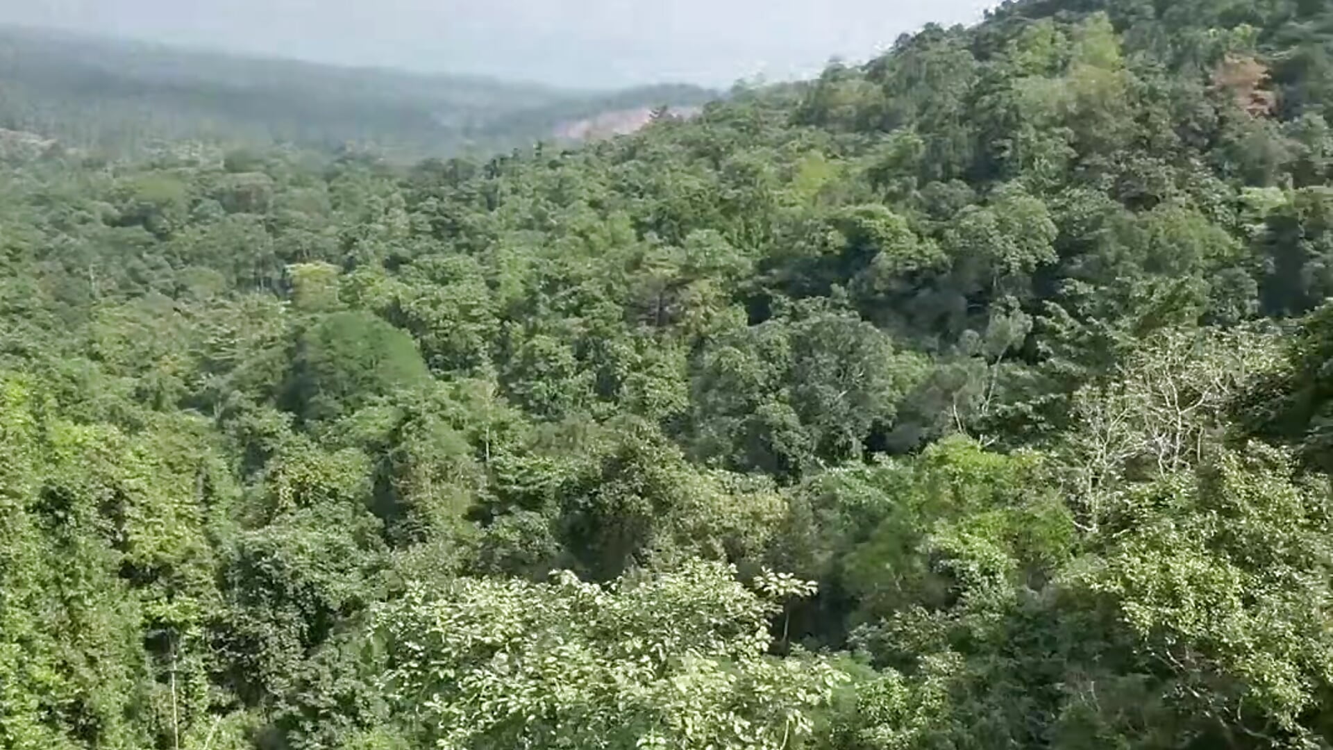 Thailand Zipline above jungles 🌳