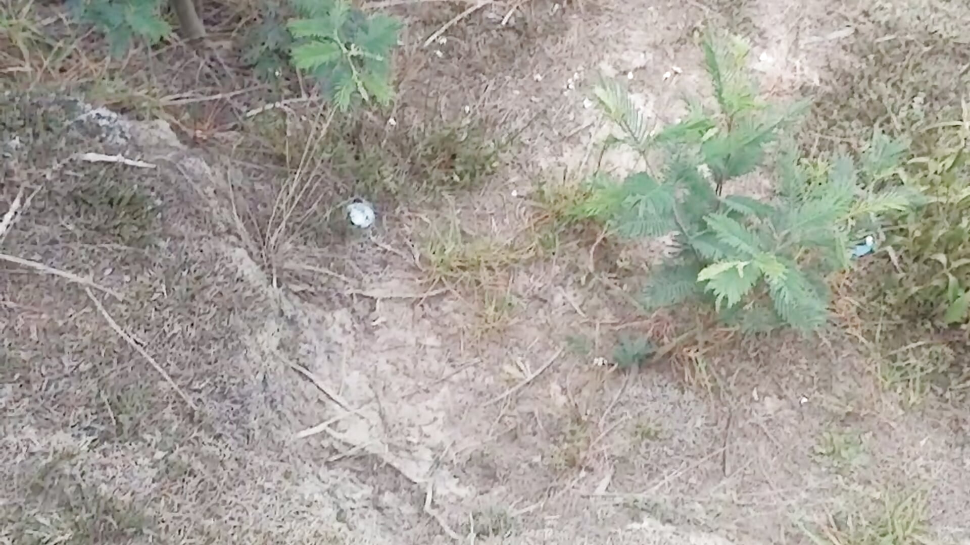 Naturaleza - clip cu flakoganjha model videochat