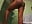 Friend birthday 🥳 - video by Tamil_KD cam model