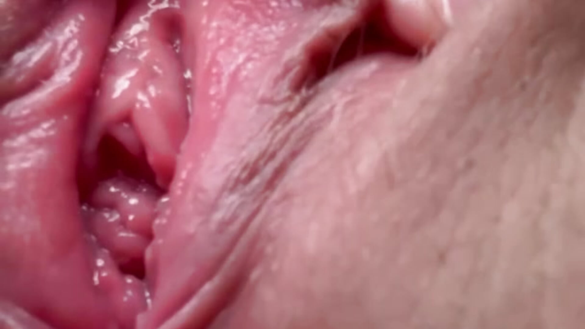 I spread my pussy naked and sit on your face - AnikaBest 캠 모델의 동영상