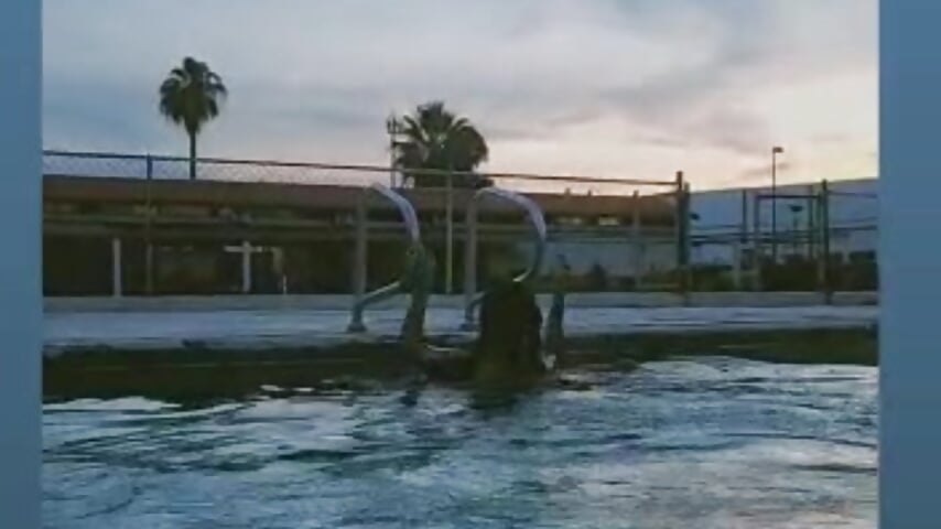 Hey...come with me ❤️ - فيديو من lil_daisy7 موديل الكام