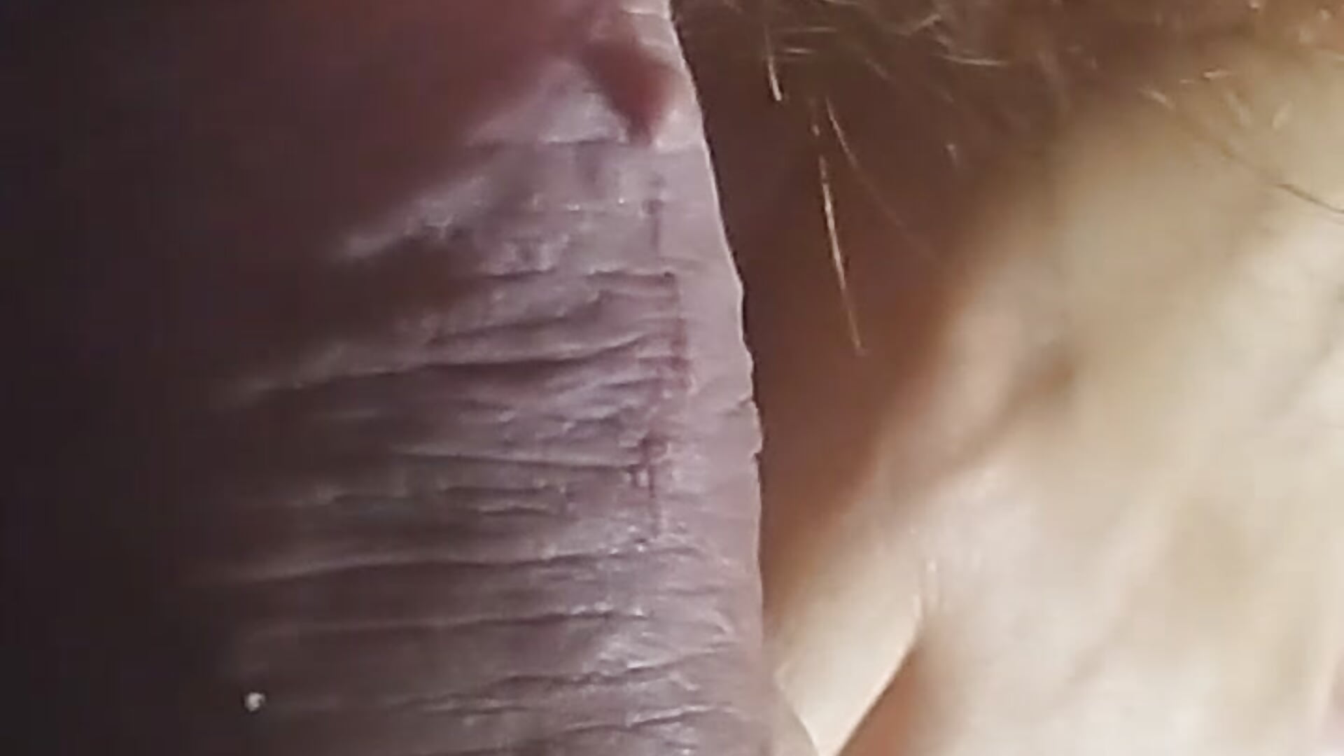 show - video by sarateu cam model