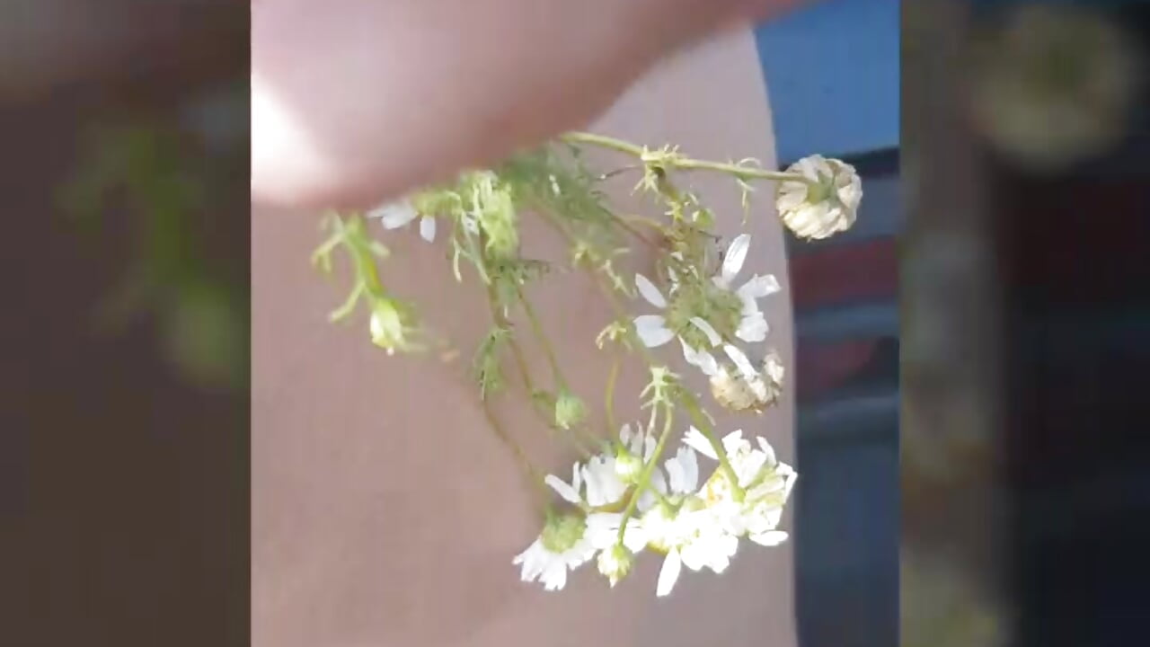 Video_20180717175330414_by_videoshow - video by PrettieKate cam model