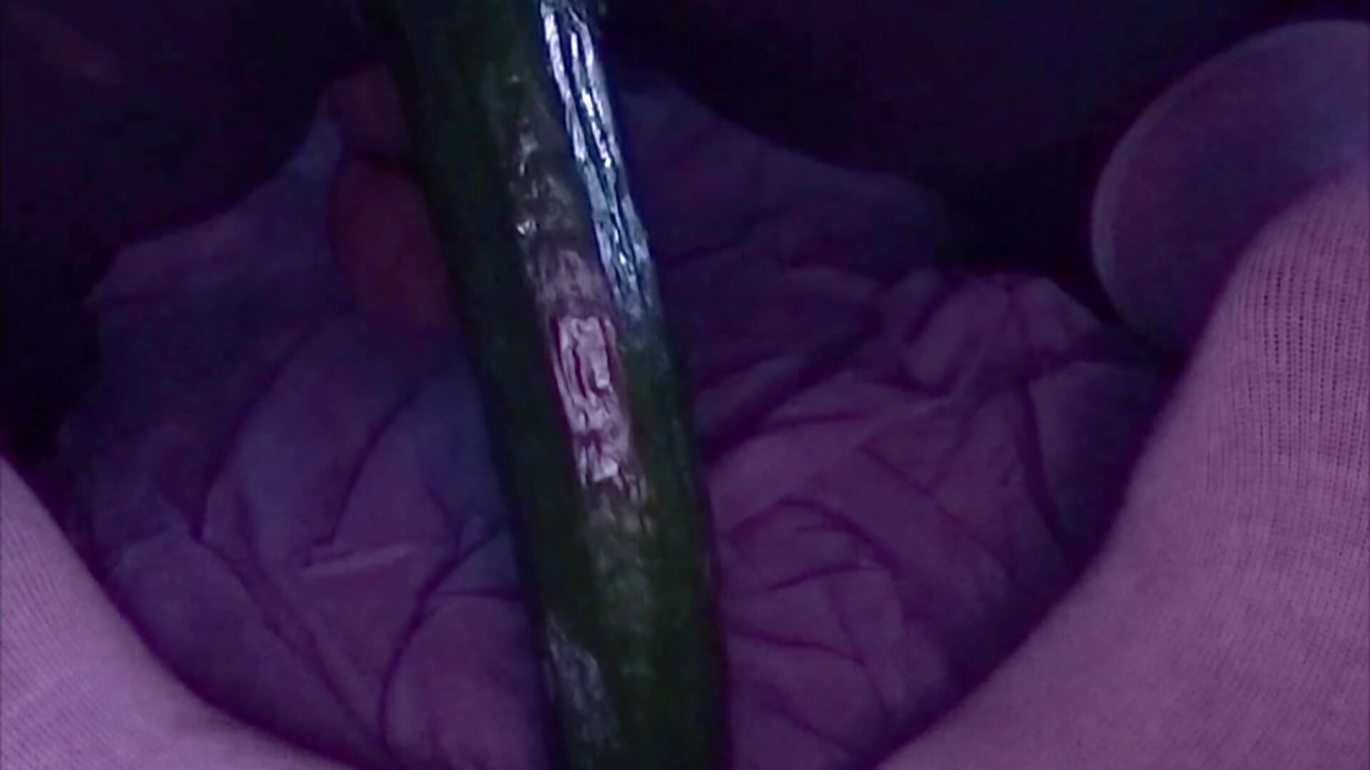 1000012855.mp4 - video by NylonBooyy cam model