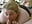 BlowJob. . . .yummy - vidéo du modèle de showcams Iceprincess2bad4u