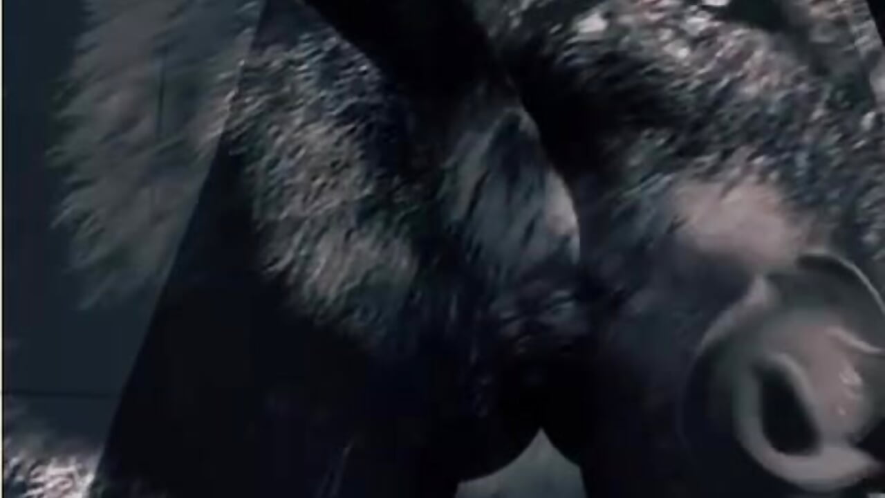 Dick of wolf - video di EnjiMakk modella di cam