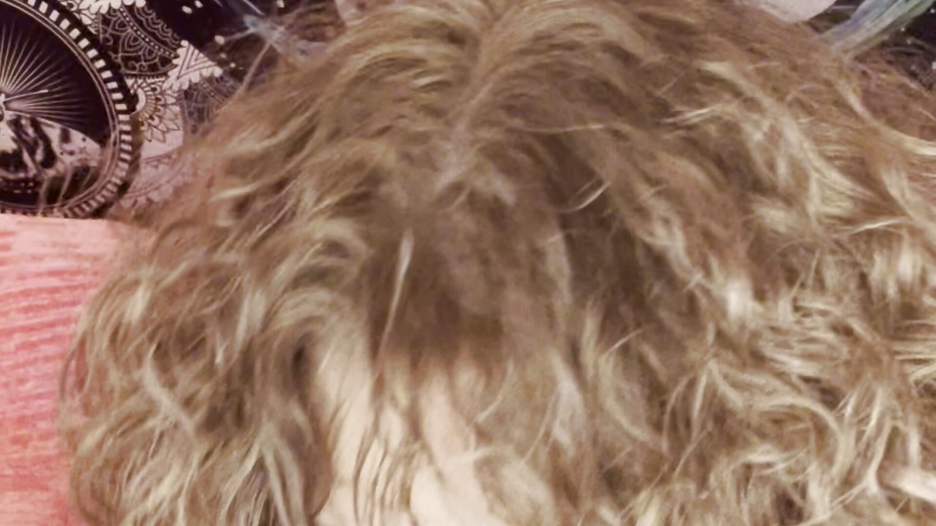 Mmmm yummy - video av SuzyCatzz cam model