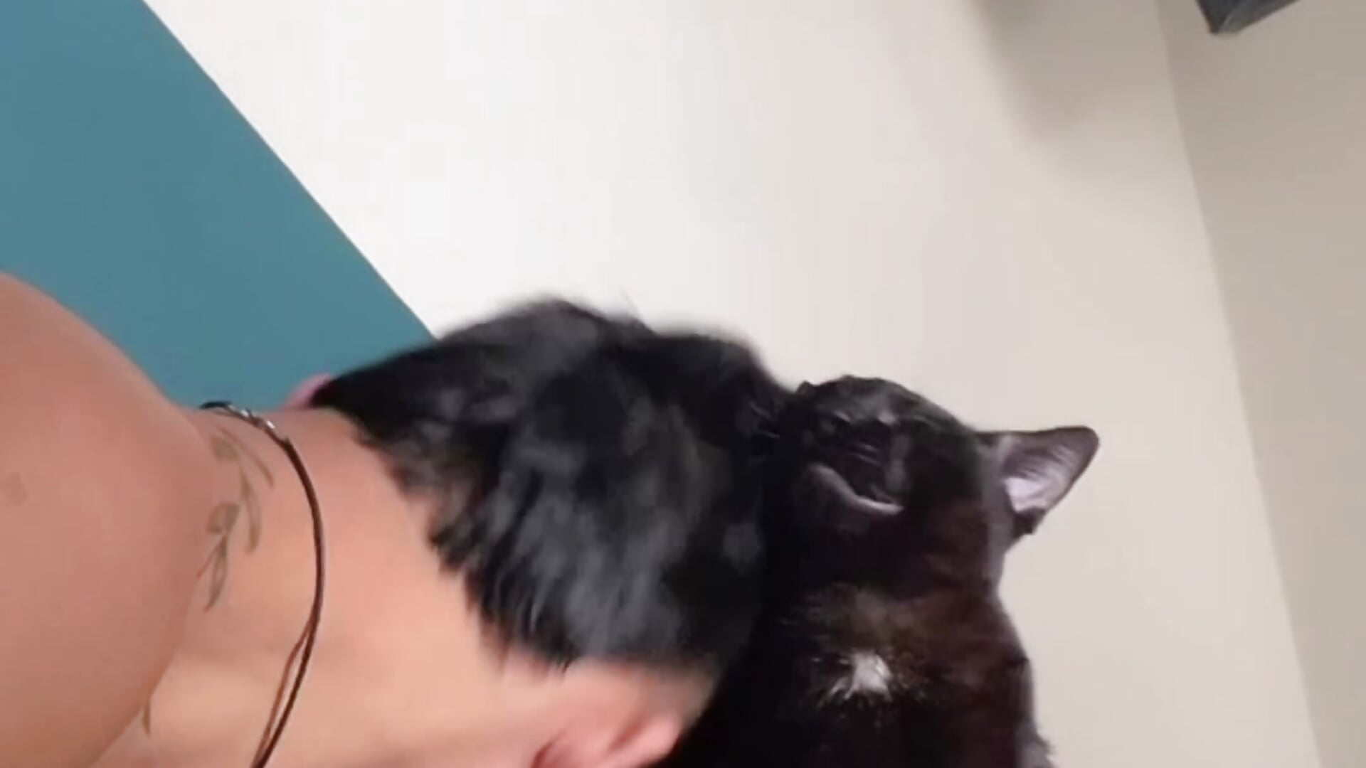 I love cats - video van tom_Howard cam-model