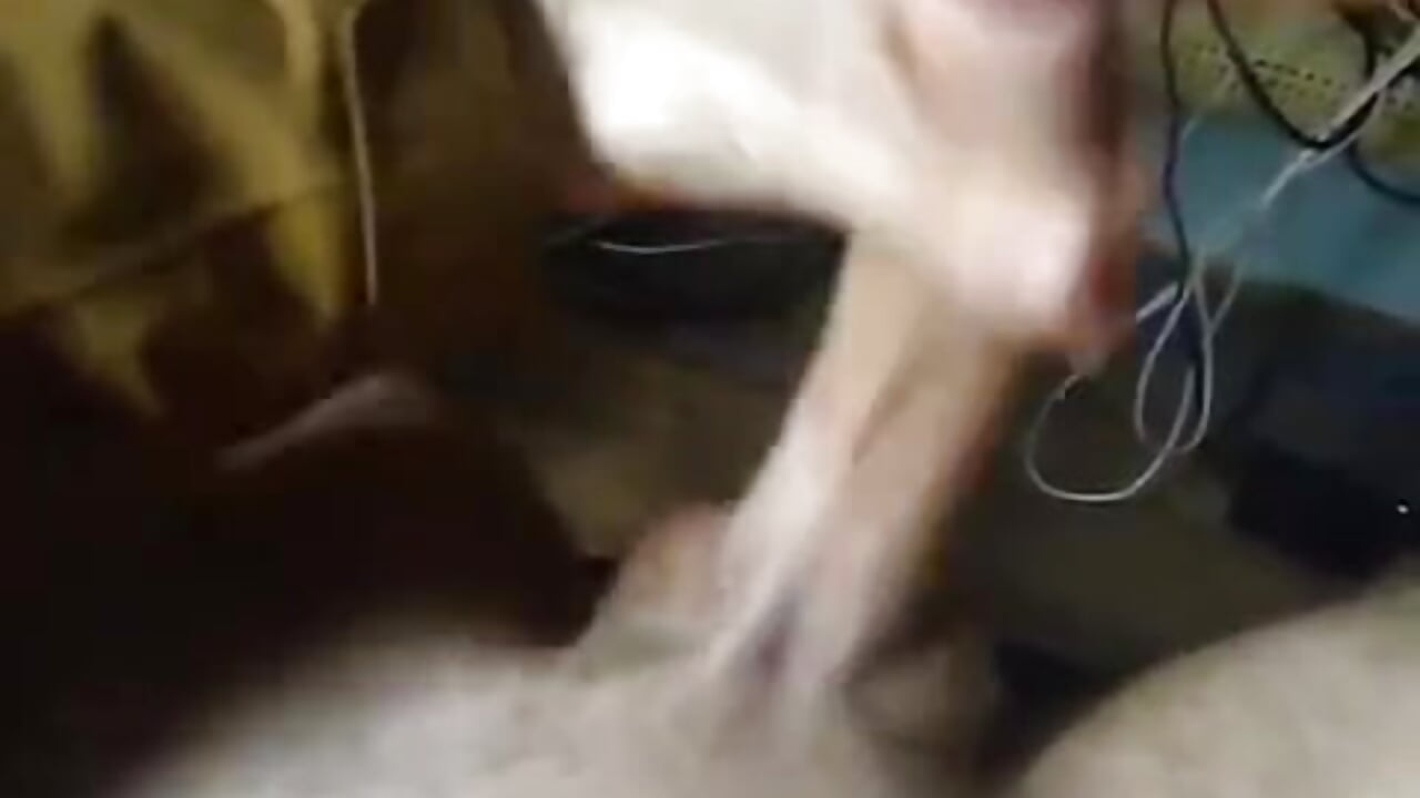 Teasing my Cock – video od webkamerové modelky mycurve