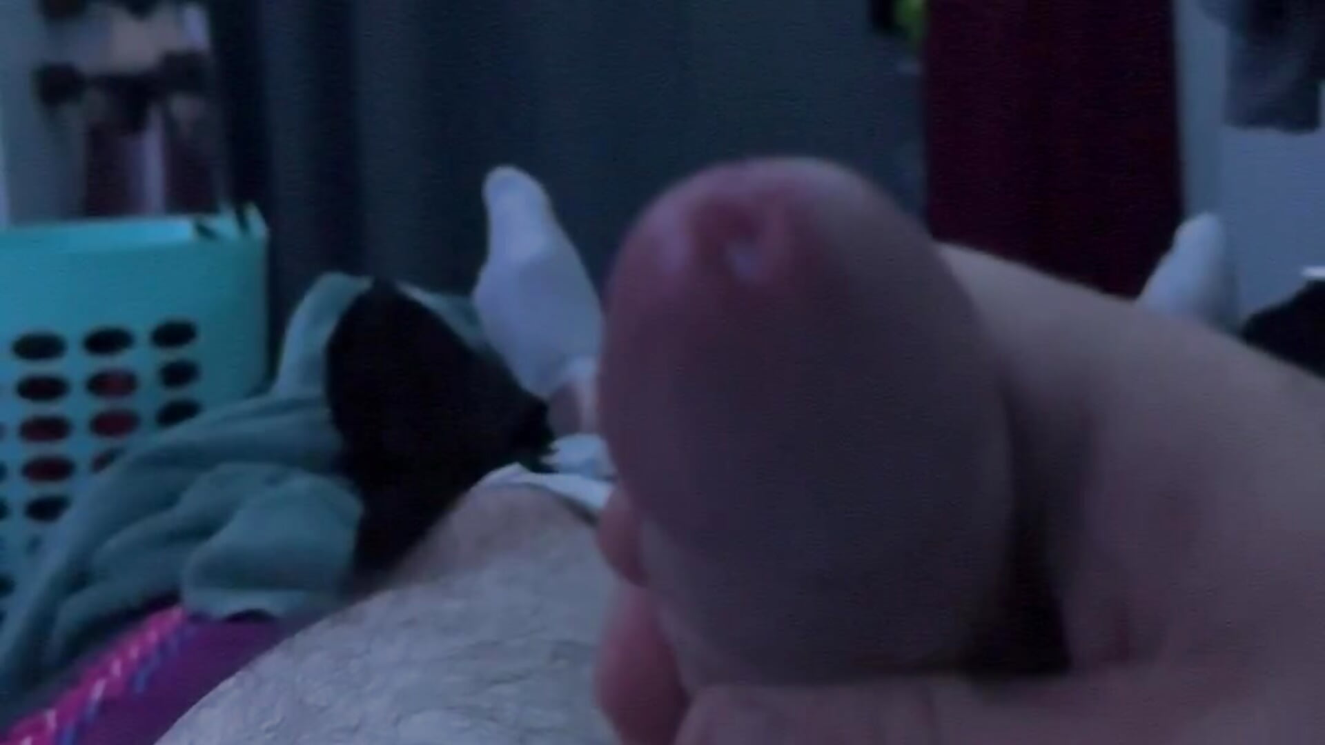 IMG_1994 - vidéo du modèle de showcams lowki21