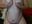 Putting Lotion On My Tits & Playing With Them While Imagining What You'd Do Daddy! - video by SexyxLexie cam model