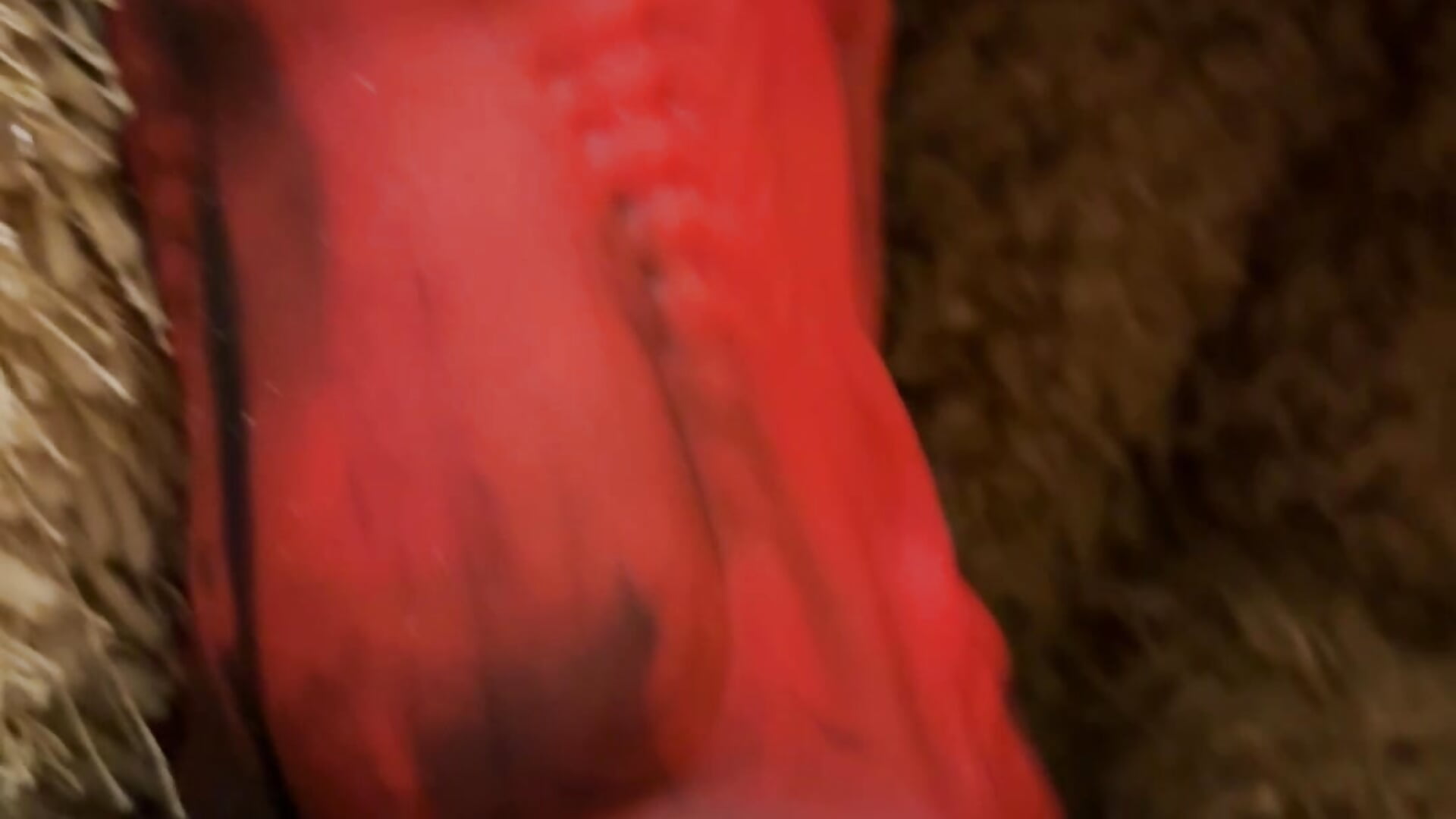 IMG_0473 - video by hothole4use