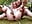 Eliza hitachi orgasm outside - video by llovers4u2 cam model
